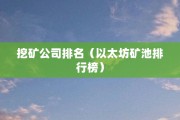 以太坊挖矿代理(以太坊挖矿托管平台)