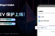 以太坊公链钱包价格表收益(以太坊公链开发用了多长时间)