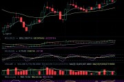 以太坊分布式交易所收益(以太坊分布式交易所收益怎么样)