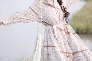 以太坊服饰(以太坊交易中心)