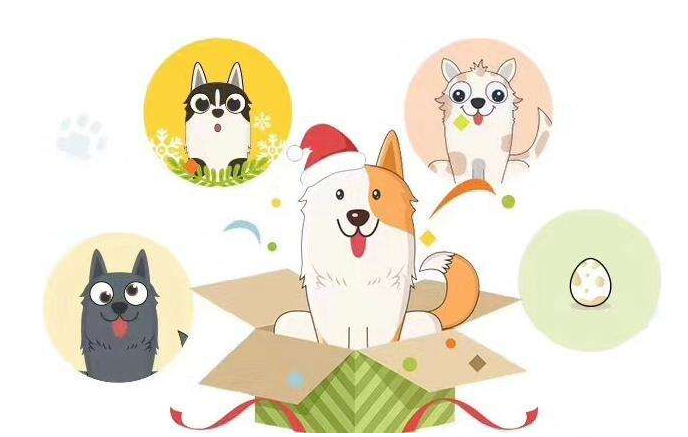 宠物以太坊(以太狗赚钱方法)