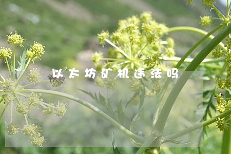以太坊犯法(以太坊在中国合法案件)