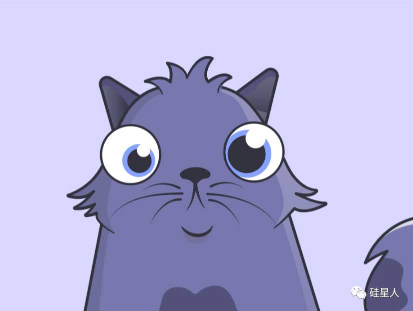 养猫游戏以太坊(养猫游戏以太坊怎么玩)